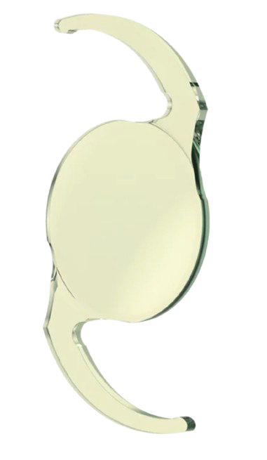 Alternative view of B1ADY0